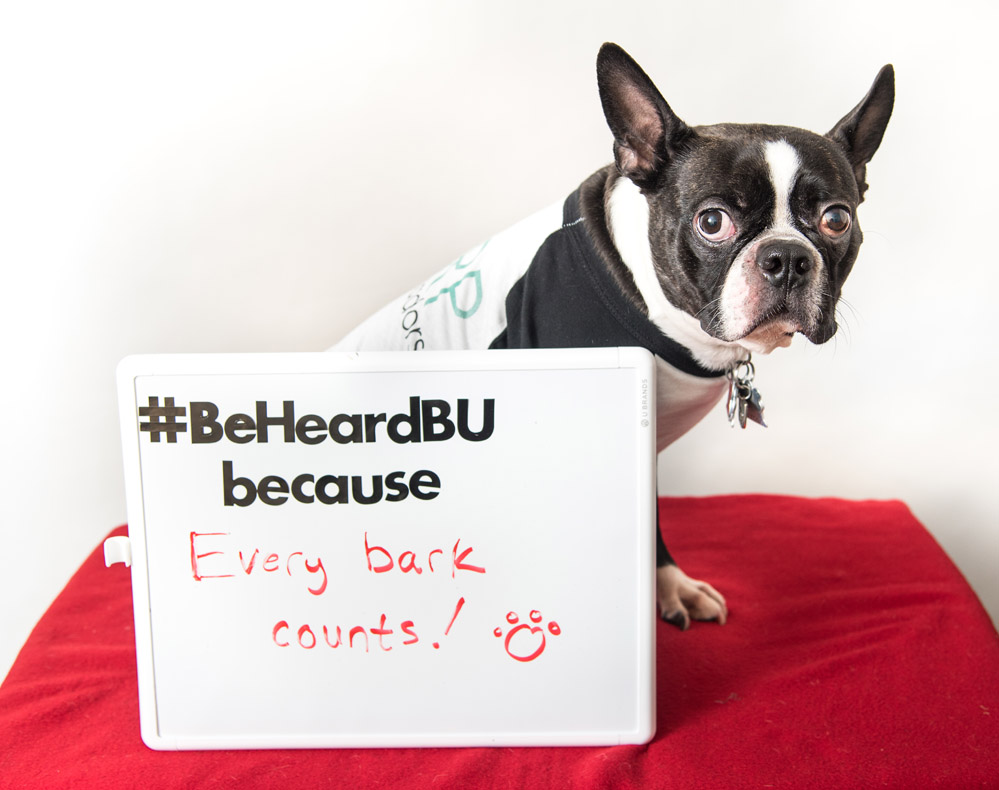 Sexual Assault Response and Prevention Center at BU holds their socil media campaign #BeHeardBU because as part of the national sexual misconduct survey., Boston ,MA Feb 1st, 2019